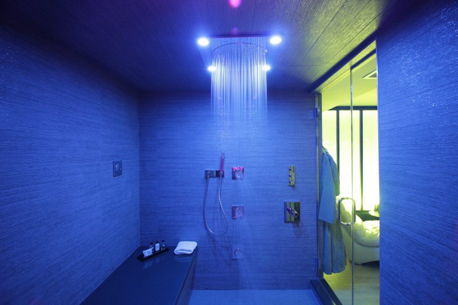 Spa Suite Shower Sheraton Niagara Falls, NY